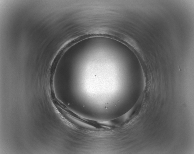 X0000066540984200603241407