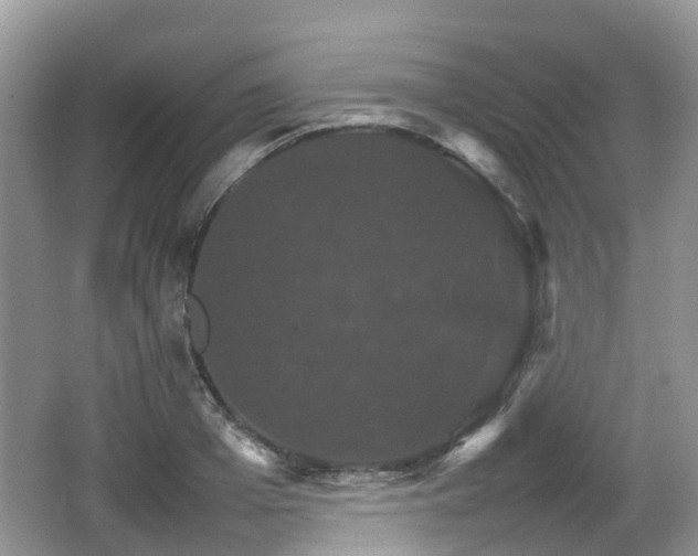 X0000066540985200603241407