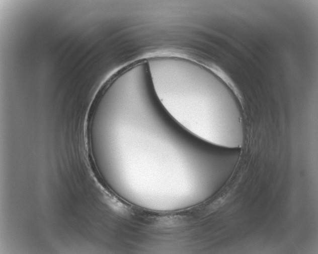 X0000066540988200603241406