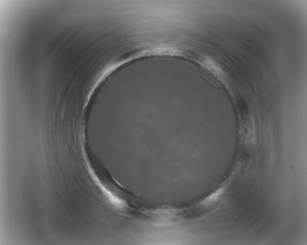 X0000066540989200603241406