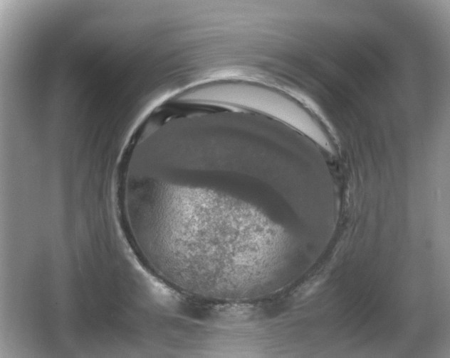 X0000066540991200603241406