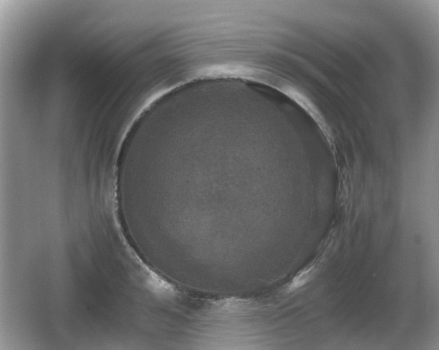 X0000066540992200603241406