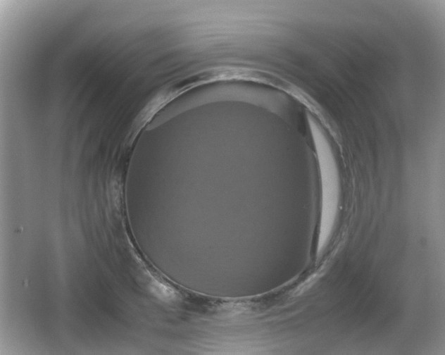 X0000066540993200603241406