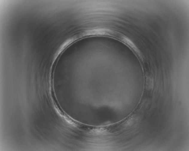 X0000066540994200603241406