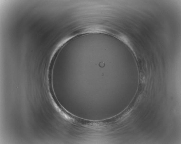 X0000066540995200603241406