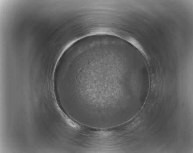 X0000066540996200603241406