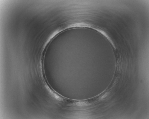 X0000066540998200603241406