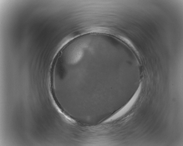 X0000066540999200603241406