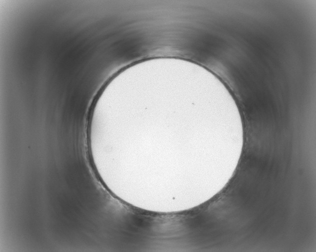 X0000066541000200603241406