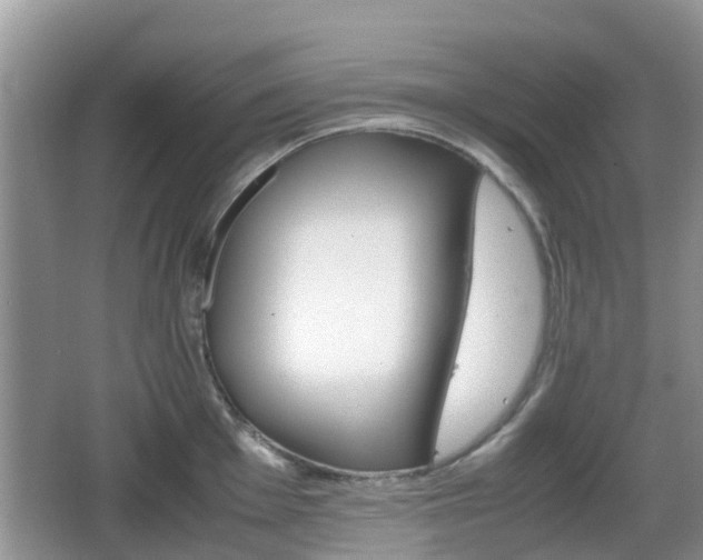 X0000066541001200603241406