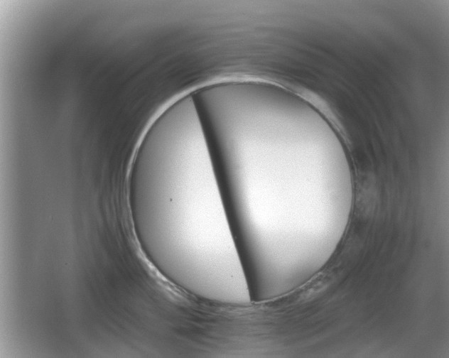 X0000066541004200603241406