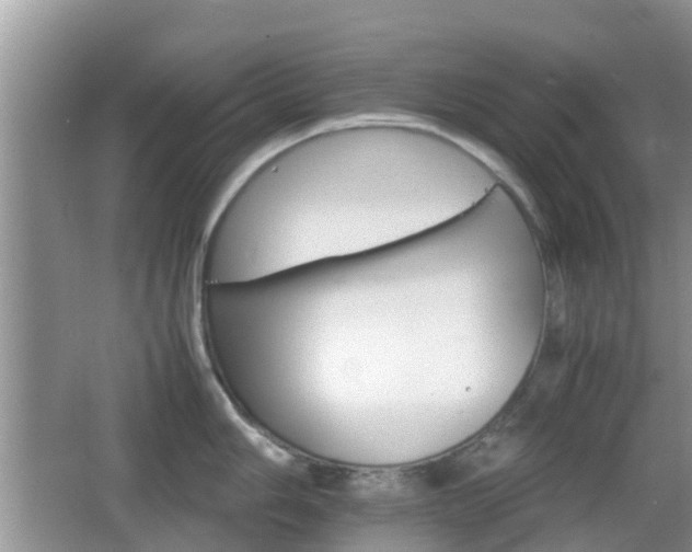 X0000066541006200603241406