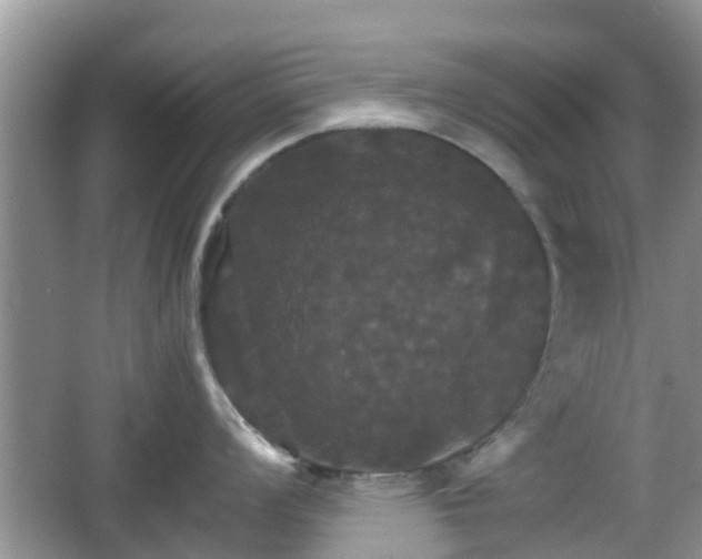 X0000066541008200603241406