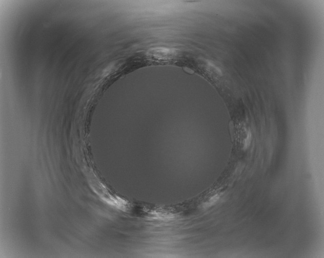 X0000066541009200603241405