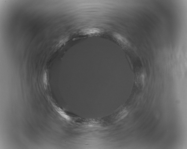 X0000066541010200603241405