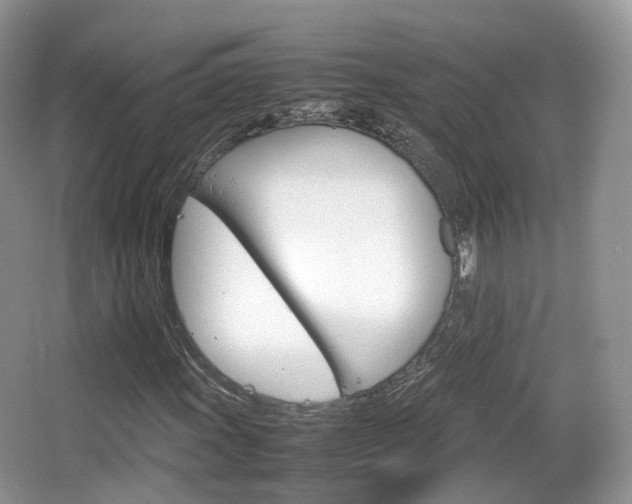 X0000066541011200603241405