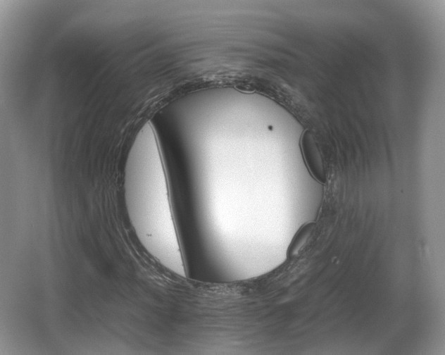 X0000066541012200603241405