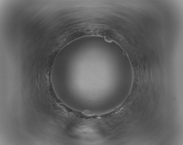 X0000066541013200603241405