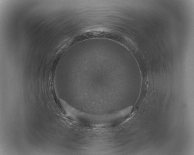 X0000066541014200603241405