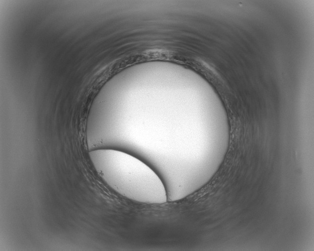 X0000066541015200603241405