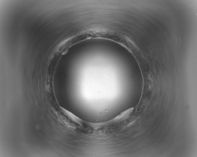 X0000066541016200603241405