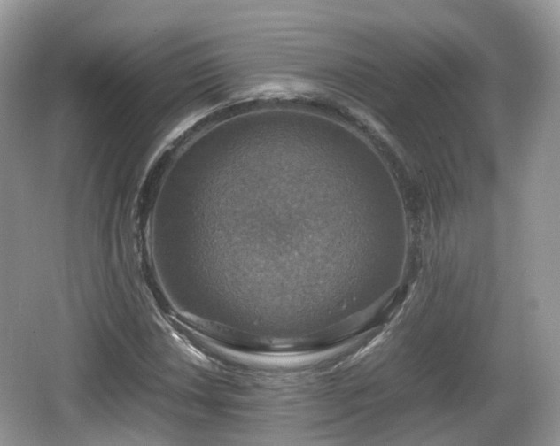 X0000066541018200603241405