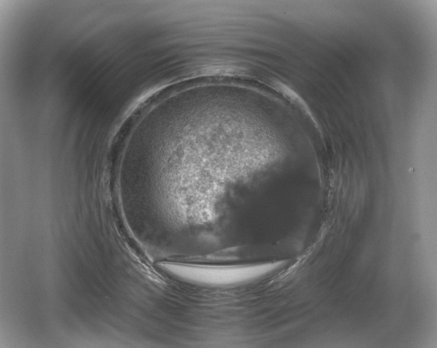 X0000066541019200603241405