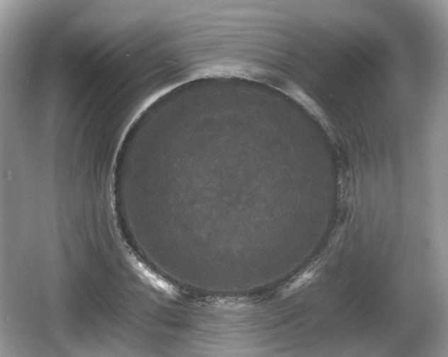 X0000066541020200603241405