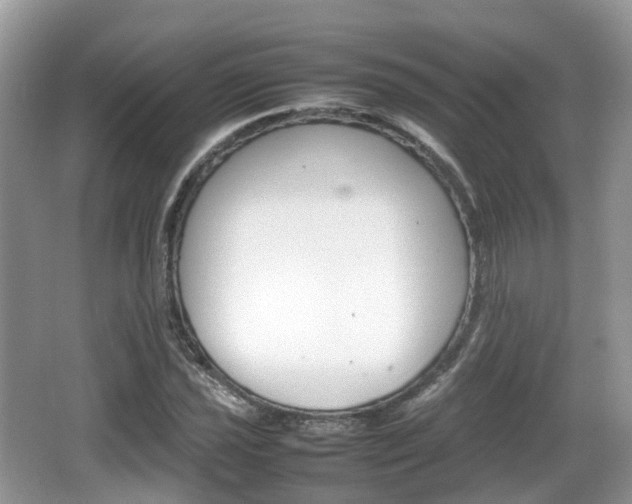 X0000066541021200603241406