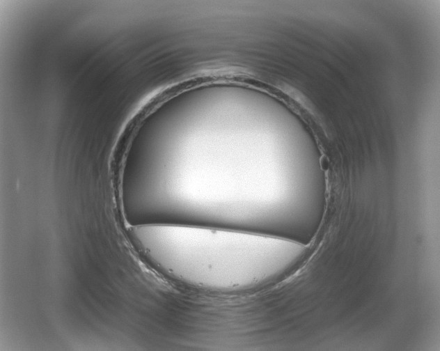 X0000066541022200603241406