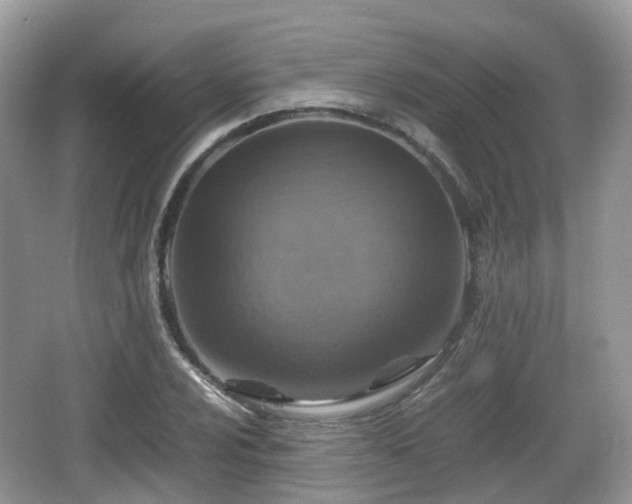 X0000066541024200603241406