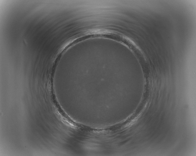 X0000066541025200603241406