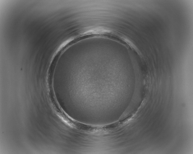 X0000066541026200603241406