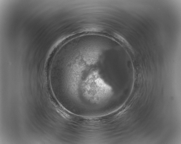 X0000066541027200603241406