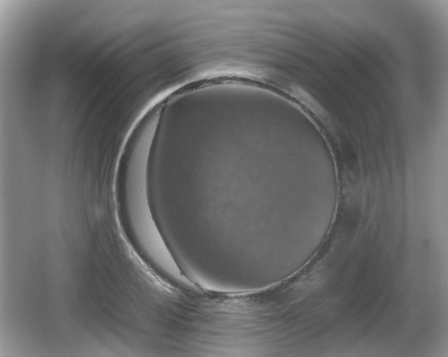 X0000066541028200603241406