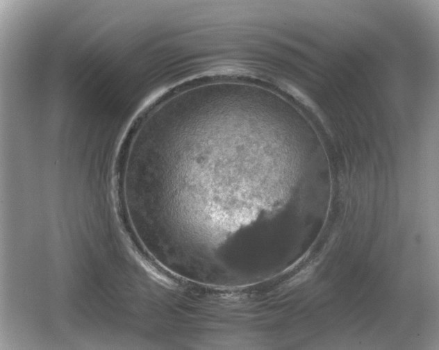 X0000066541029200603241406