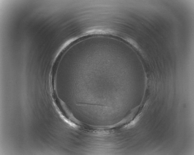 X0000066541030200603241406