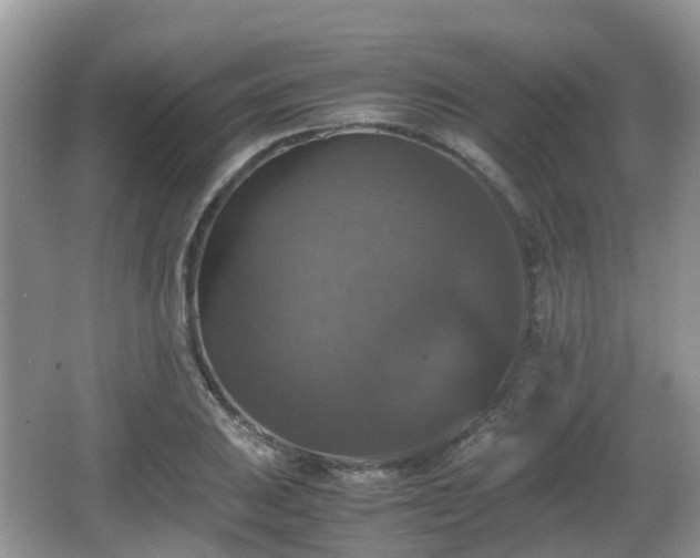 X0000066541031200603241406