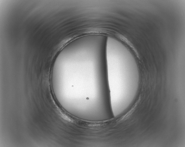 X0000066541033200603241406