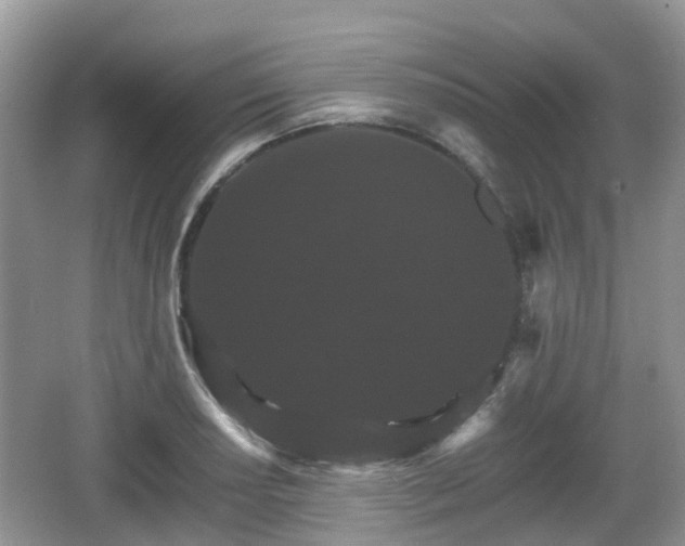 X0000066541034200603241406