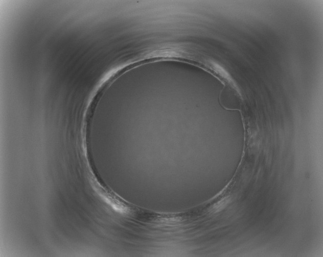 X0000066541035200603241406