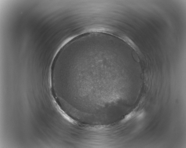 X0000066541036200603241406