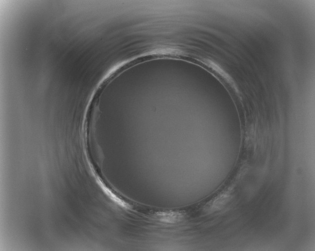 X0000066541037200603241406