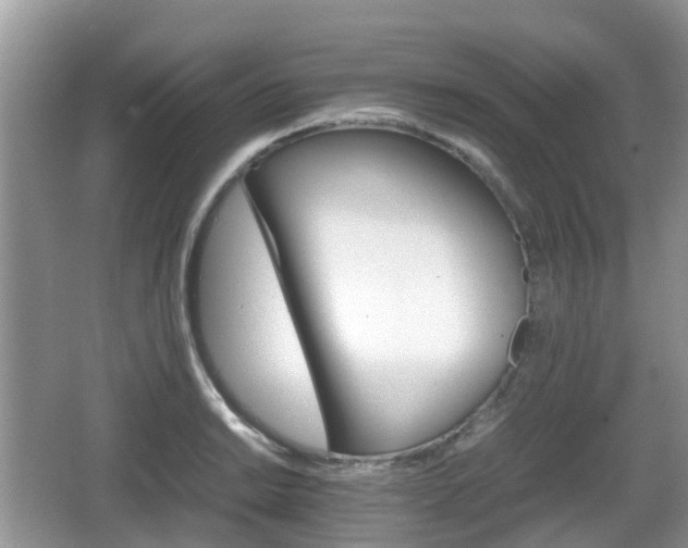 X0000066541038200603241406