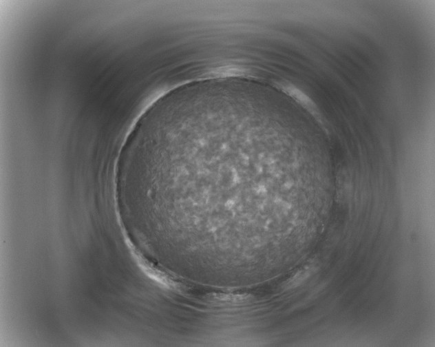 X0000066541039200603241406