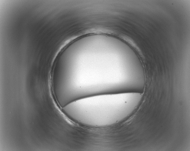 X0000066541040200603241406