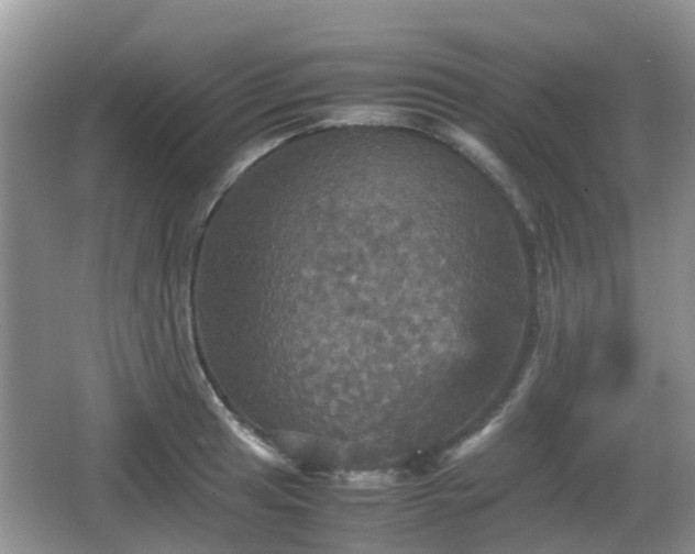 X0000066541041200603241406