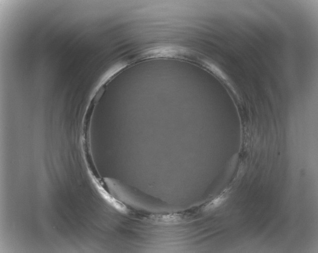 X0000066541042200603241406