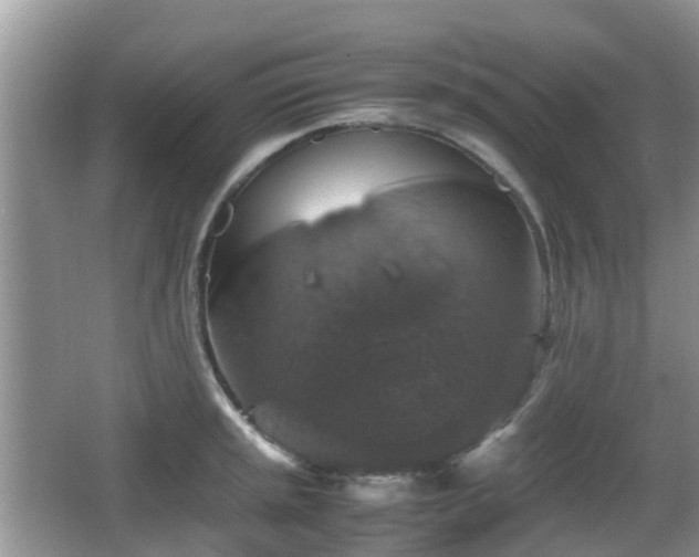 X0000066541045200603241406