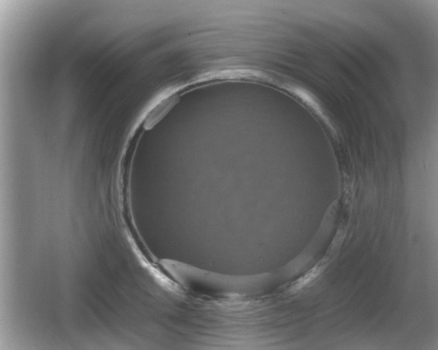 X0000066541046200603241406